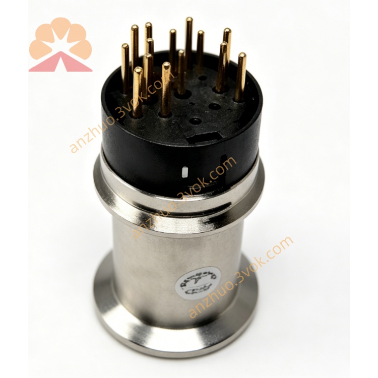 BCG450-SD353-557.jpg