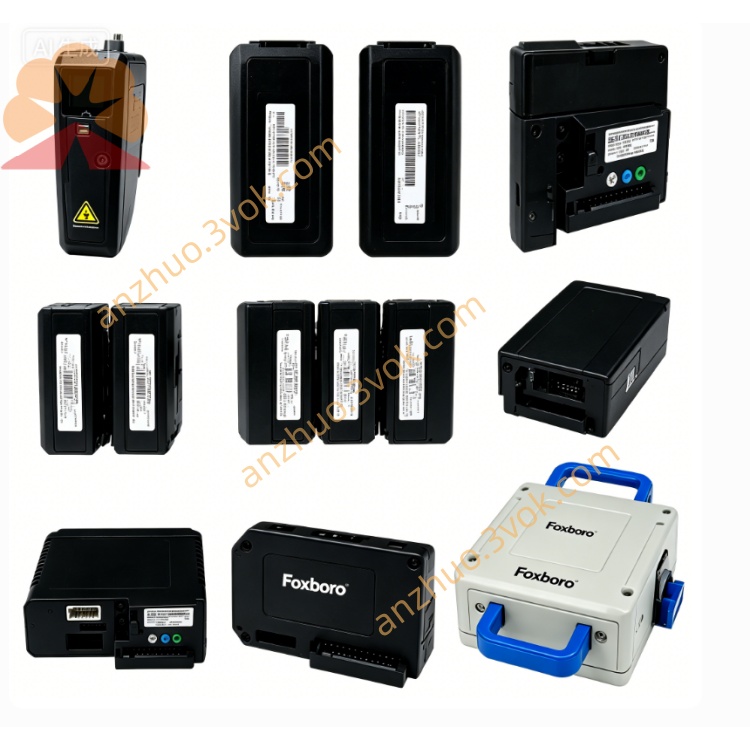 Detailed Product Description of Emerson 1C31113G06