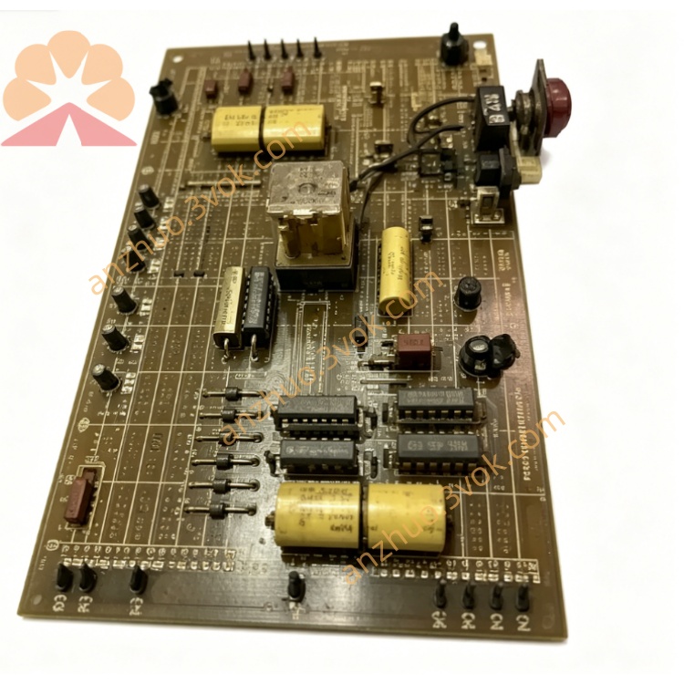 51446（2.jpg