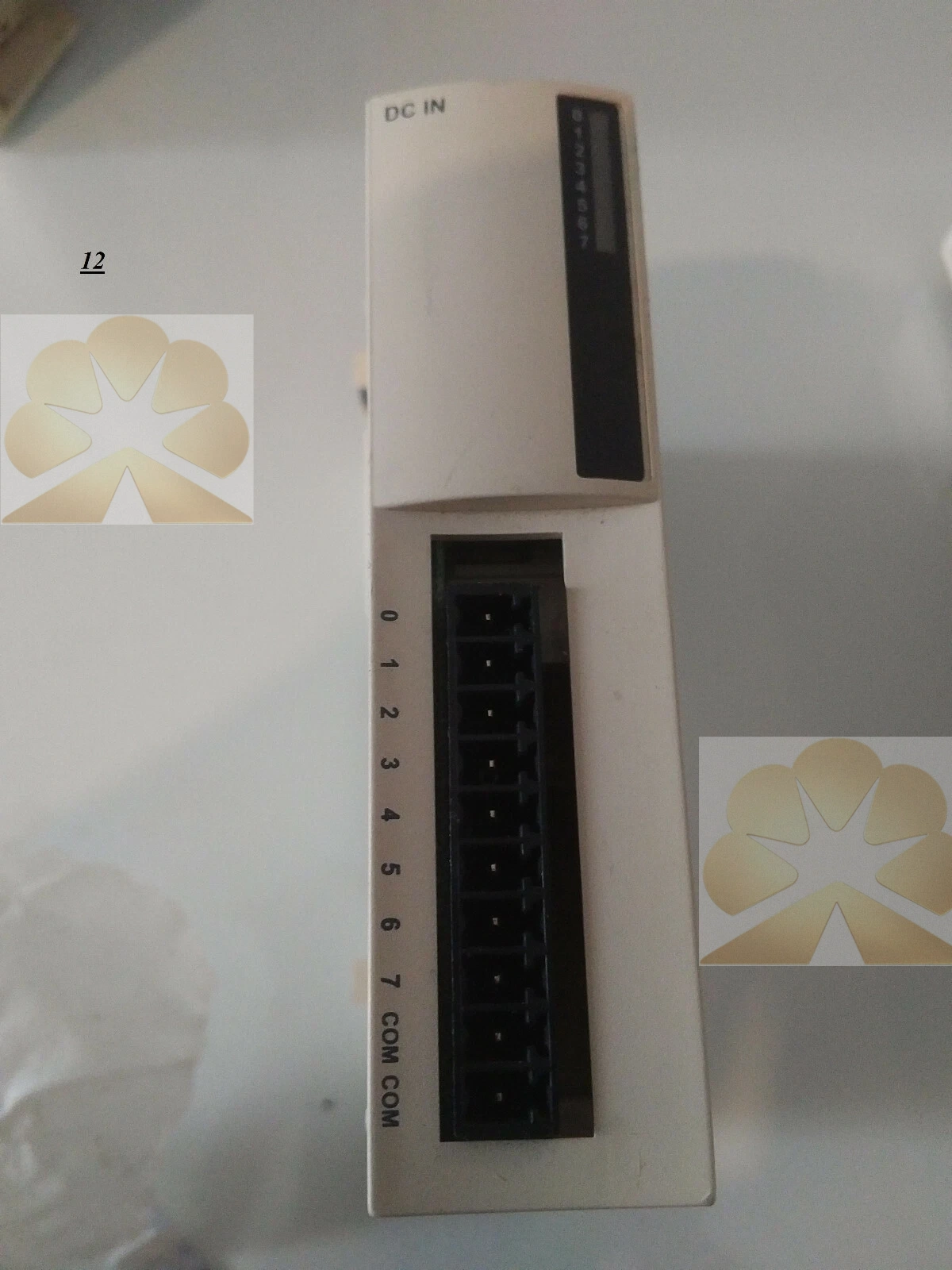 Schneider Electric TWDDDI8DT Product Description