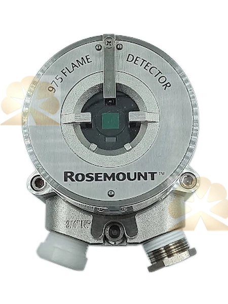 Rosemount Analytical 975MR2A6S1E2