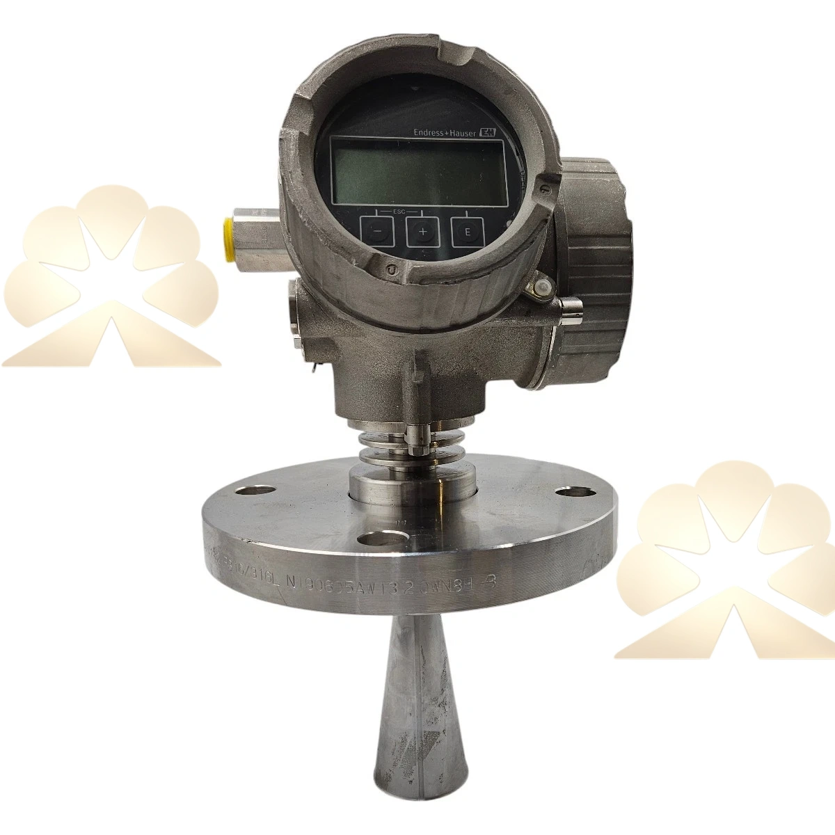 Endress+Hauser Micropilot FMR51-36293/0